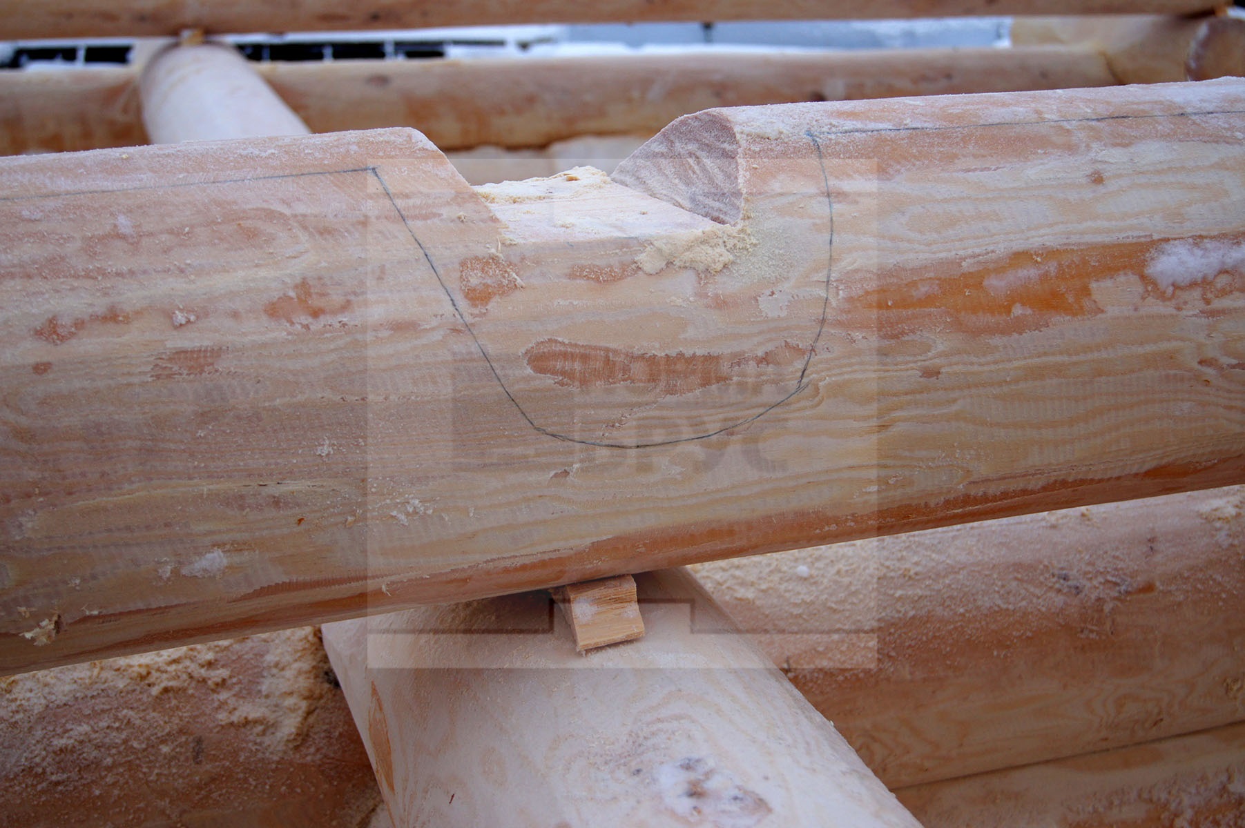 Строительсто деревянного сруба